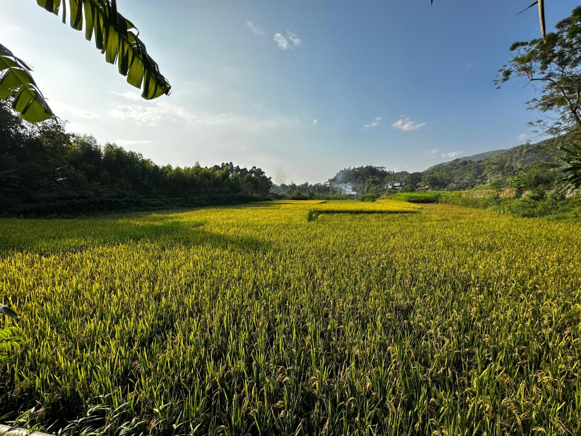 Vulinh Family -Homestay Yen Binh Eksteriør bilde