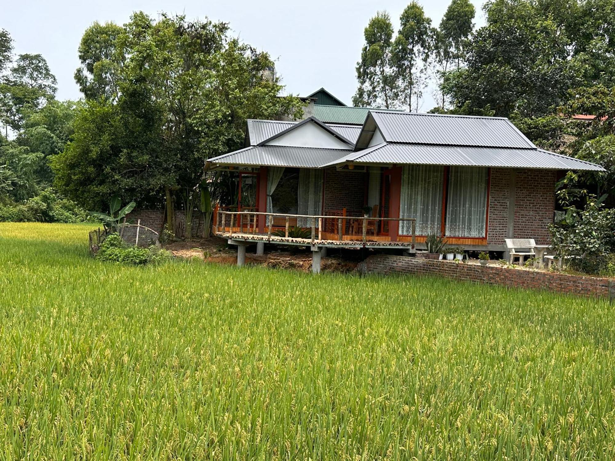 Vulinh Family -Homestay Yen Binh Eksteriør bilde