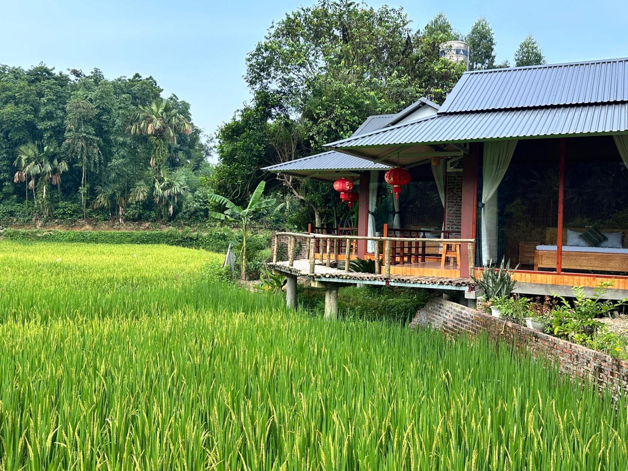 Vulinh Family -Homestay Yen Binh Eksteriør bilde